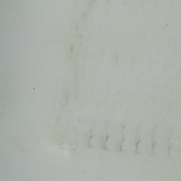 Rogers Cleveland Resonant Side Snare Drum Head Holiday/Powertone Vintage 60s USA