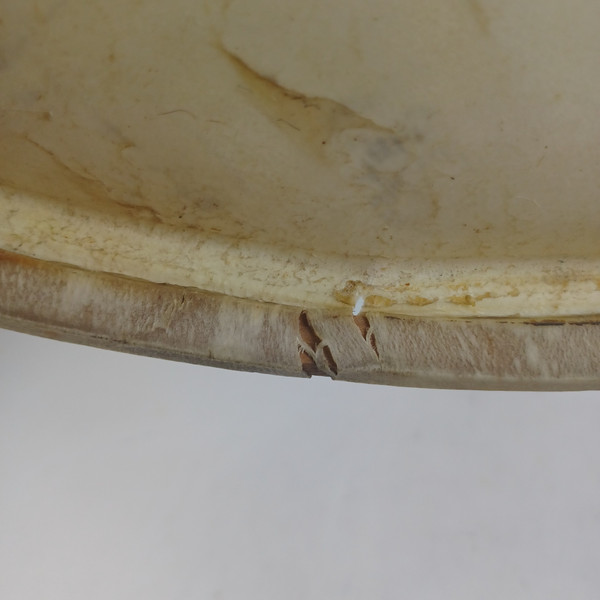 Leedy 24" Calf Skin Bass Drum Head Vintage 30s Batter/Resonant Kick Calfskin US