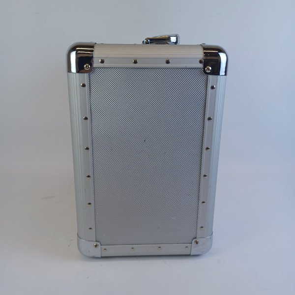 Alesis RoadFire 15 Battery-Operated Guitar Amplifier with DSP 15 Watts 1x8"Combo