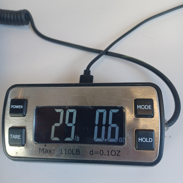 Alesis RoadFire 15 Battery-Operated Guitar Amplifier with DSP 15 Watts 1x8"Combo