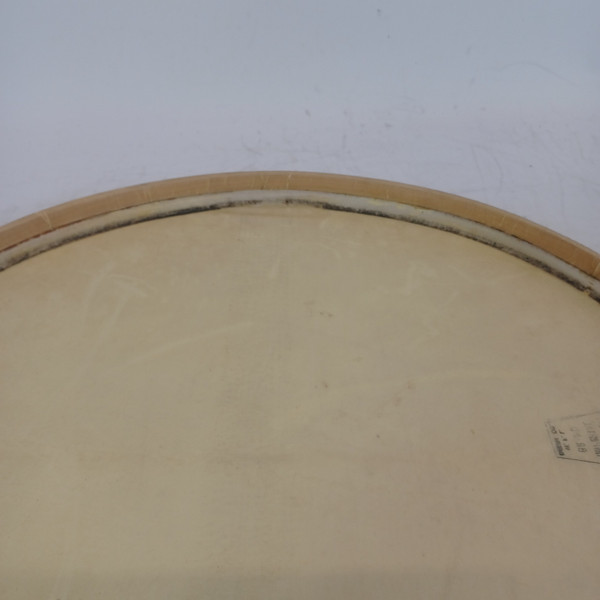 *Ludwig WFL Drum Co Slunk Transparent 14" Calf Skin Snare Head Resonant Imperial