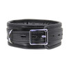 B-Col18 Faux Leather Padded Collar