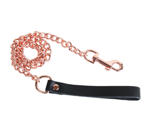 Lea048 Leather & Chain Lead