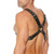Ouch! Large Buckle Harness O/S