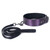 Galaxy Legend Collar And Leash