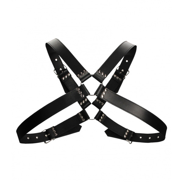 Uomo 008 1.75" Large Buckle Harness