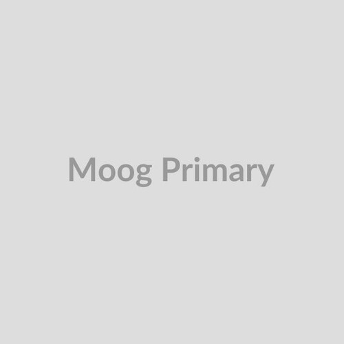 Moog Rear Left Shock Absorber - Cast Iron