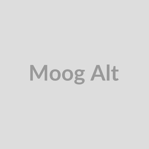 Moog Rear Left Shock Absorber - Cast Iron