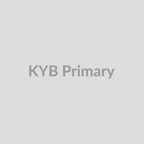 KYB Front Left Shock Absorber - Cast Iron