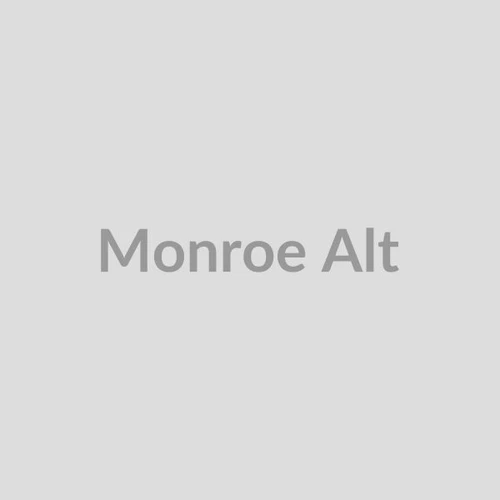 Monroe Rear Shock Absorber - Aluminum