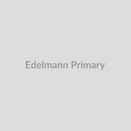 Edelmann Rear Right Shock Absorber - Steel