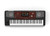 Korg PA700 61 key arranger workstation with built in speakers