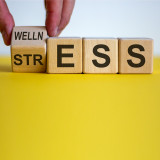 8 Habits for A Healthier Stress Response 8 Habits for A Healthier Stress Response