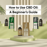 How to Use CBD Oil: A Beginner’s Guide 