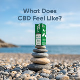 What Does CBD Feel Like?