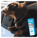 Help! My Dog is Stressed in the Car Help! My Dog is Stressed in the Car