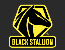 Black Stallion