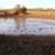 DTK Waterfowl