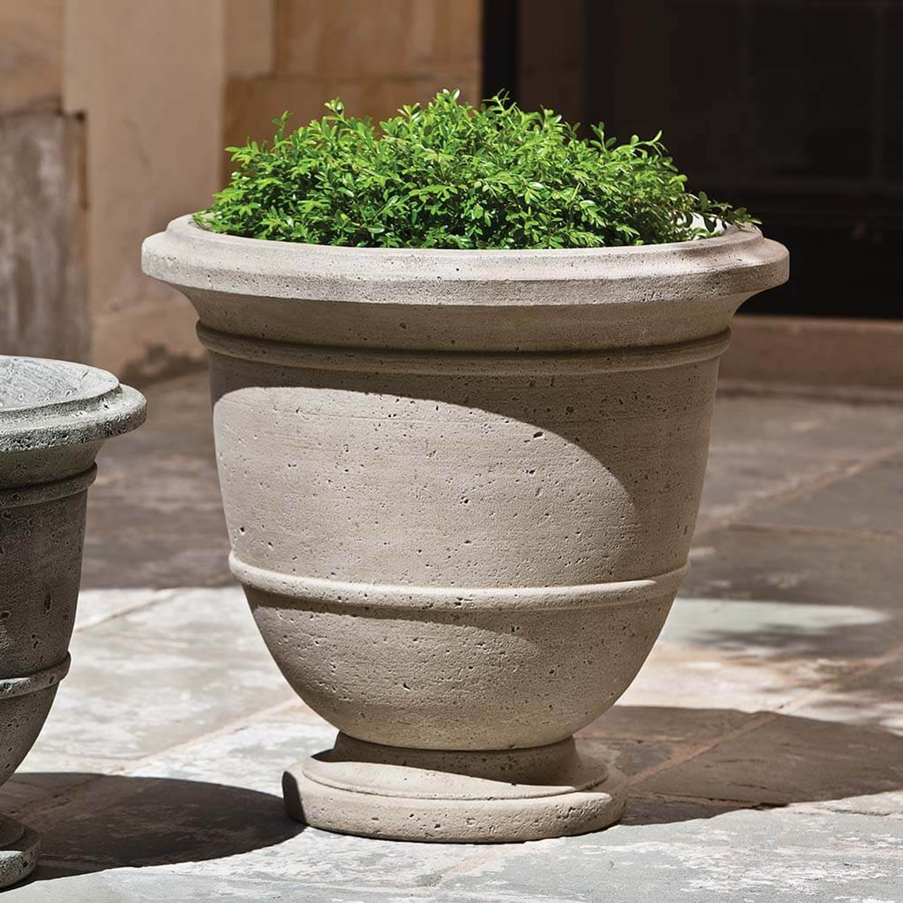 large urn container for plants