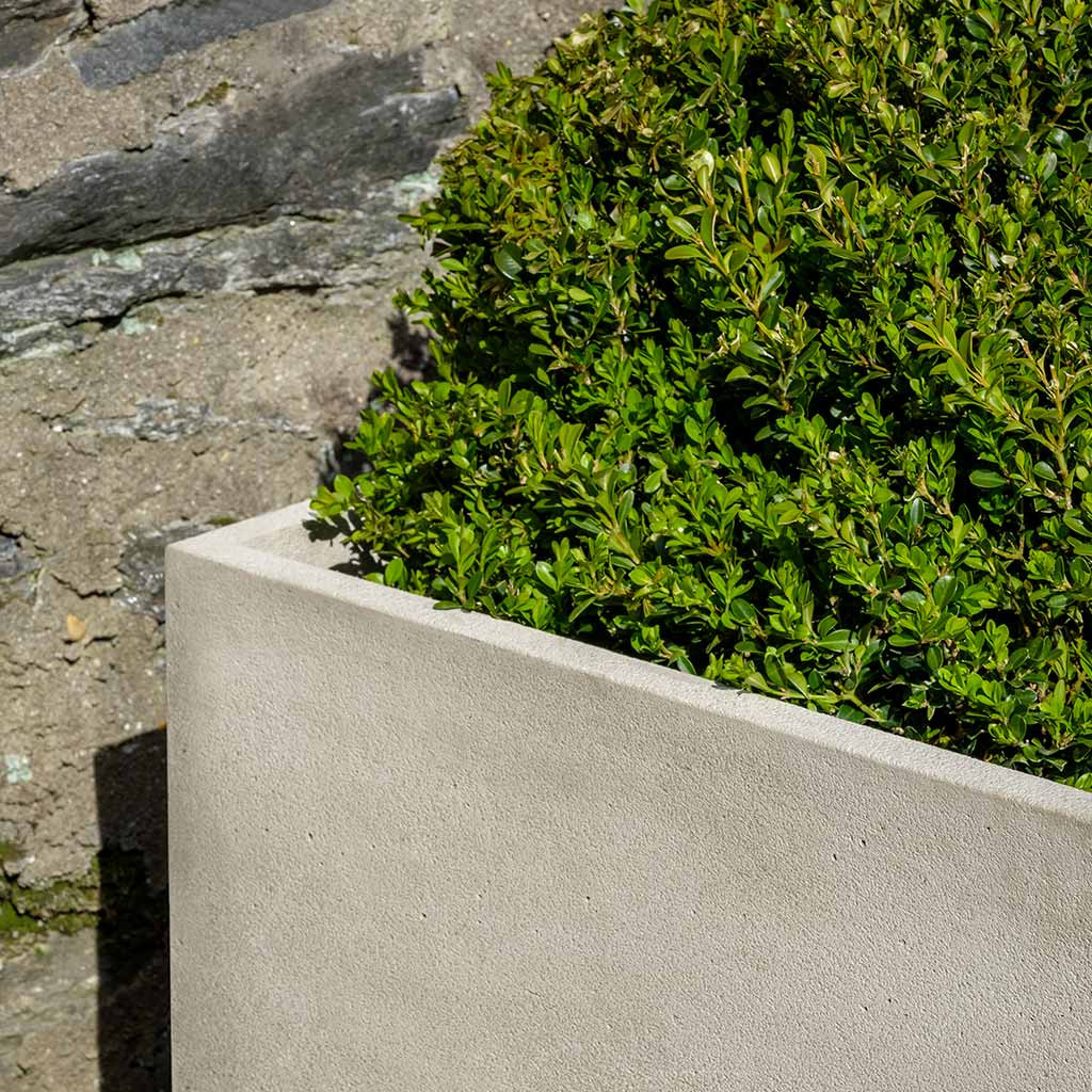 Cube Planter, Large