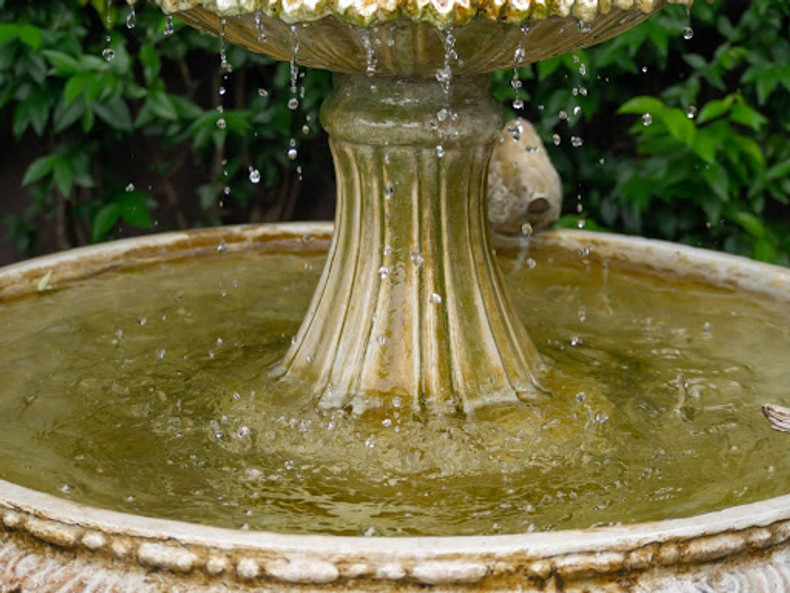 How Do I Stop Algae From Accumulating in My Garden Fountain? Garden