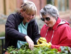 blind-gardener-large.jpg