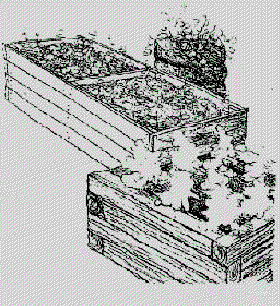 gardening-raised-beds-large.gif