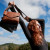 Latico Leathers Harbor Crossbody Bags