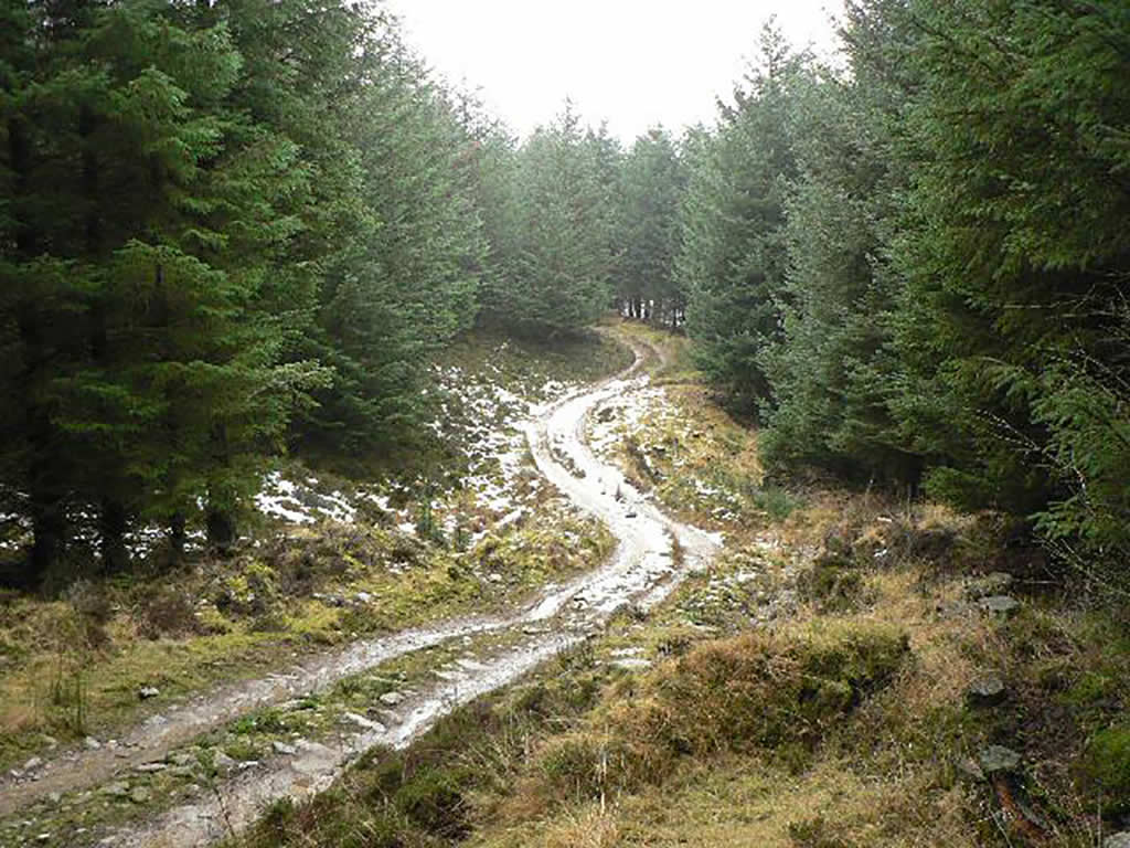 David Williams discovers the merits of the latest Land Rover