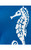 KELLYN SWEATER - BARTON BLUE SEAHORSE JACQUARD