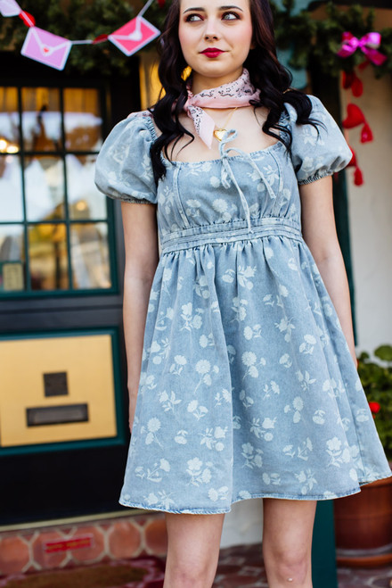 Tea Time Denim Dress 