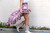 Watercolor Hi-Low Skirt - Pink