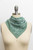 Paisley Floral Print Bandana - Sage