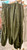 Adjustable Cargo Pant - Dark Olive