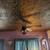 R 14 Victorian Styrofoam Ceiling Tiles - Antique Bronze -  Installed in Living and Dining
