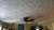 R-02 Styrofoam Ceiling Tiles - Installed