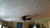 R 02 Styrofoam Ceiling Tile - Plain White - Installed Living and dining R 02 Styrofoam Ceiling Tile - Plain White - Installed Living and dining