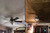 R 37 Styrofoam Ceiling Tiles - Plain White installed in Living and Dining R 37 Styrofoam Ceiling Tiles - Plain White installed in Living and Dining