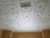 R 14 Victorian Styrofoam Ceiling Tiles installed
