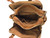 Triple Zipper Purse. Top POV. Color: Brown