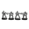 Imperial Golden Lions