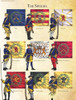 Swedish uniforms and flags