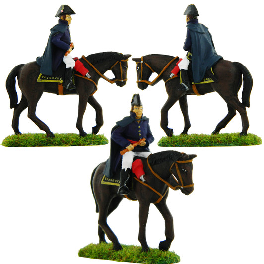 Multiple views of the 1st Duke of Wellington when painted.