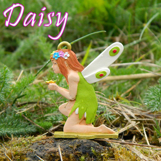 Fairy 'Daisy' in nature