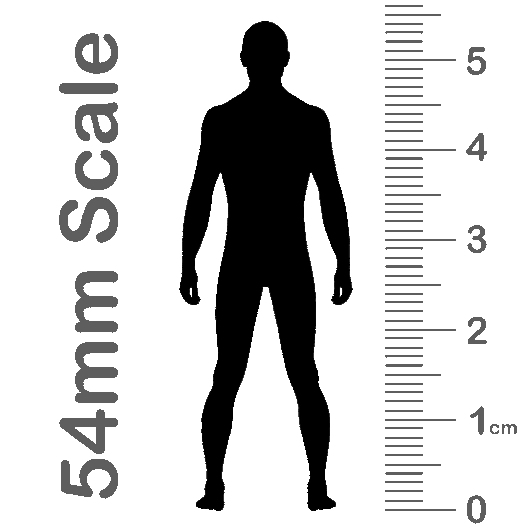 54mm scale figure