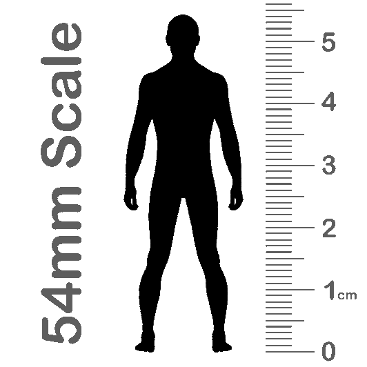 54mm scale chart