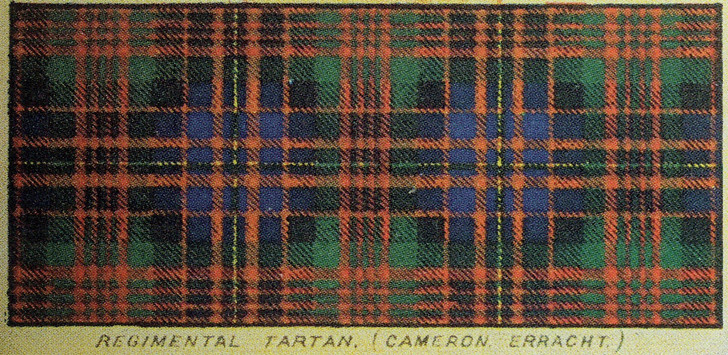 Regimental Cameron Tartan