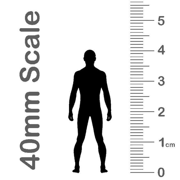 40mm scale chart