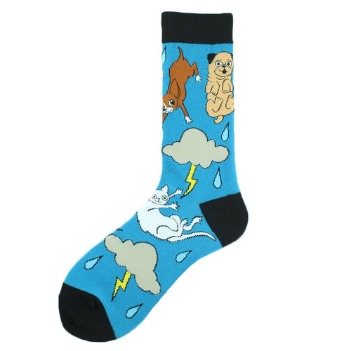 Raining Cats and Dogs Socks, cat socks, dog socks, raining socks, weather socks, sock boutique, novelty socks, novelty animal socks, funky socks, nz socks, crazy socks