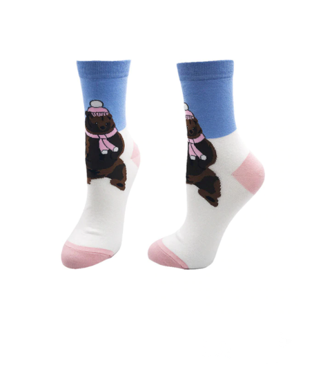 Brown Bear Socks, bear socks, sock boutique, cold bear, bear, brown